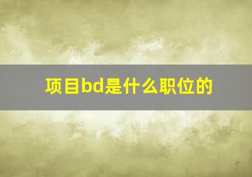 项目bd是什么职位的