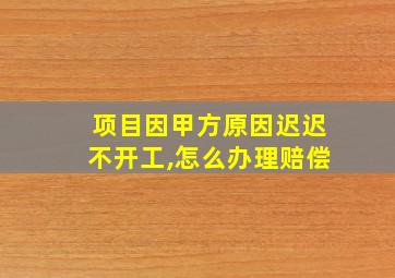 项目因甲方原因迟迟不开工,怎么办理赔偿