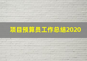 项目预算员工作总结2020