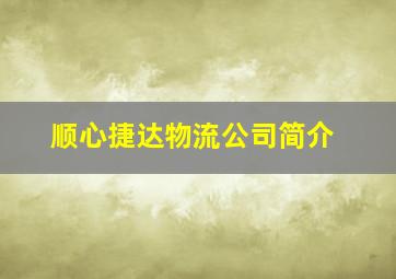 顺心捷达物流公司简介