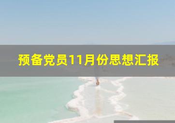 预备党员11月份思想汇报