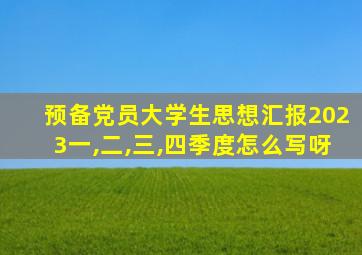 预备党员大学生思想汇报2023一,二,三,四季度怎么写呀