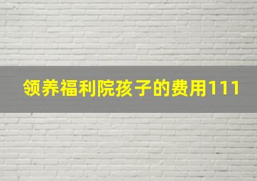 领养福利院孩子的费用111