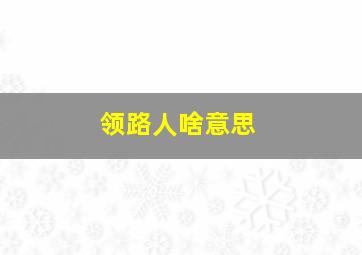 领路人啥意思