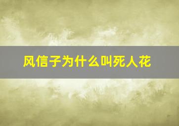 风信子为什么叫死人花