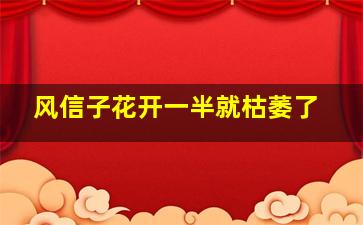 风信子花开一半就枯萎了