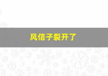 风信子裂开了