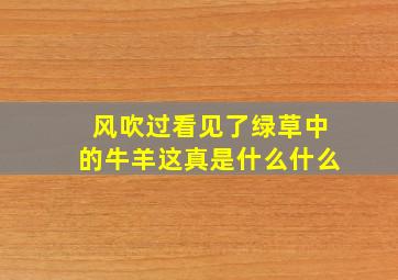 风吹过看见了绿草中的牛羊这真是什么什么