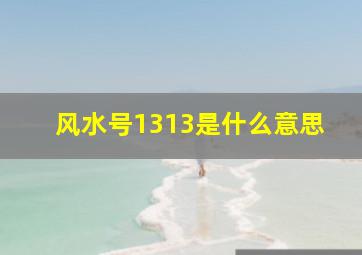 风水号1313是什么意思