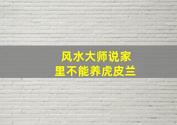 风水大师说家里不能养虎皮兰