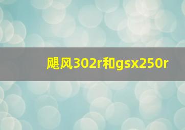 飓风302r和gsx250r