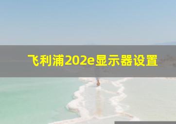 飞利浦202e显示器设置