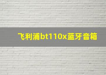 飞利浦bt110x蓝牙音箱