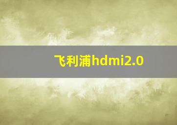 飞利浦hdmi2.0