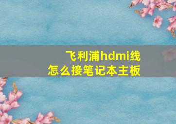 飞利浦hdmi线怎么接笔记本主板