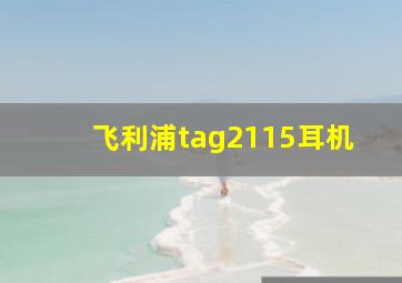 飞利浦tag2115耳机