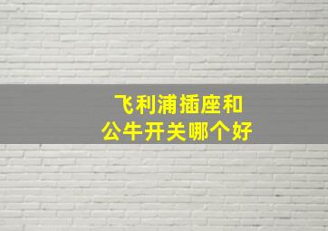 飞利浦插座和公牛开关哪个好