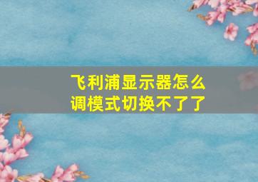 飞利浦显示器怎么调模式切换不了了