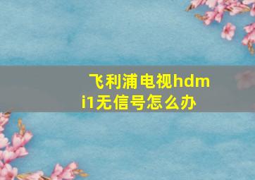 飞利浦电视hdmi1无信号怎么办