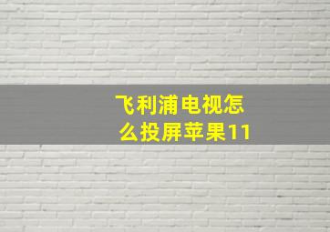 飞利浦电视怎么投屏苹果11