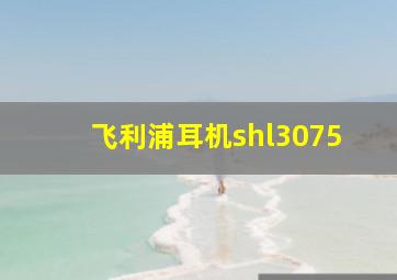 飞利浦耳机shl3075