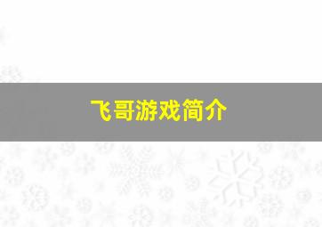 飞哥游戏简介