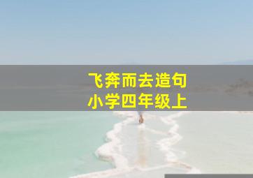 飞奔而去造句小学四年级上