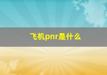 飞机pnr是什么