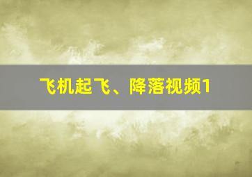 飞机起飞、降落视频1