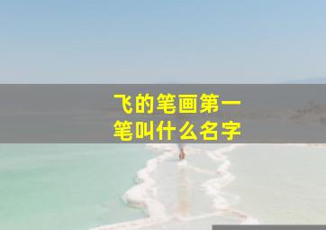 飞的笔画第一笔叫什么名字