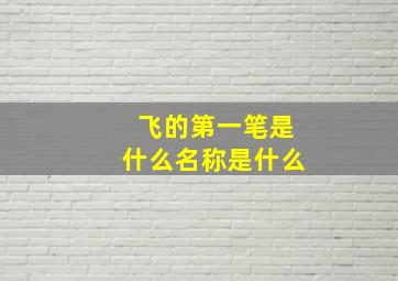 飞的第一笔是什么名称是什么