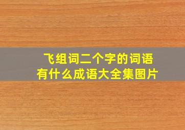 飞组词二个字的词语有什么成语大全集图片