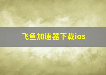 飞鱼加速器下载ios