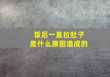 饭后一直拉肚子是什么原因造成的