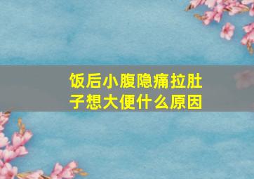 饭后小腹隐痛拉肚子想大便什么原因