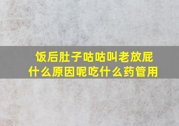 饭后肚子咕咕叫老放屁什么原因呢吃什么药管用