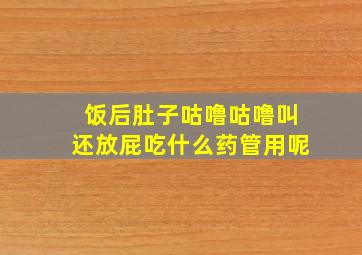 饭后肚子咕噜咕噜叫还放屁吃什么药管用呢