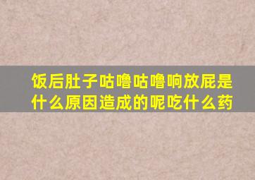 饭后肚子咕噜咕噜响放屁是什么原因造成的呢吃什么药