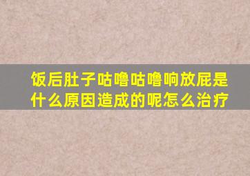 饭后肚子咕噜咕噜响放屁是什么原因造成的呢怎么治疗