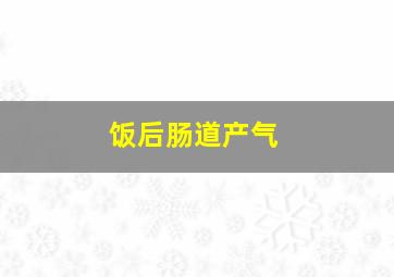 饭后肠道产气