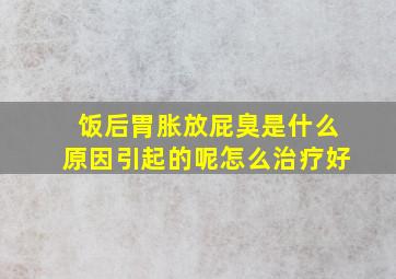 饭后胃胀放屁臭是什么原因引起的呢怎么治疗好