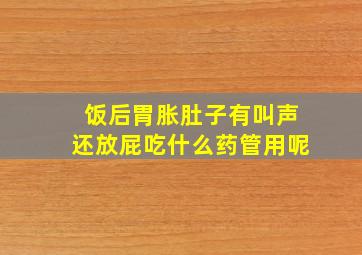 饭后胃胀肚子有叫声还放屁吃什么药管用呢