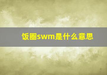 饭圈swm是什么意思