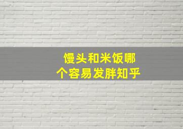 馒头和米饭哪个容易发胖知乎