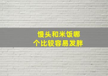 馒头和米饭哪个比较容易发胖