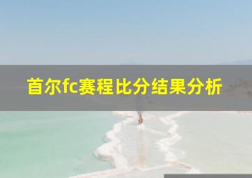 首尔fc赛程比分结果分析