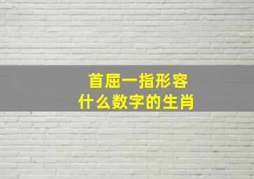 首屈一指形容什么数字的生肖