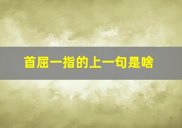 首屈一指的上一句是啥