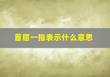 首屈一指表示什么意思