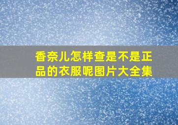 香奈儿怎样查是不是正品的衣服呢图片大全集